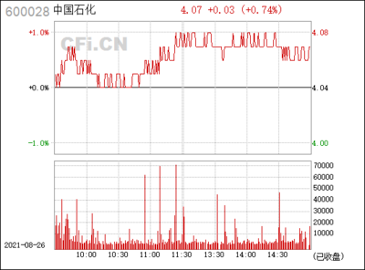 中国石化(600028)