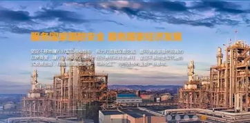 我市成功签约中国北方石化产品储运交易基地项目