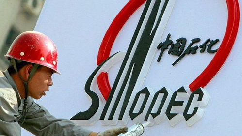 因出现亏损,中国石化出售阿根廷油田资产