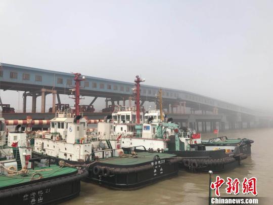 浙江自贸区周岁记 聚焦油品全产业链 形成发展新动能