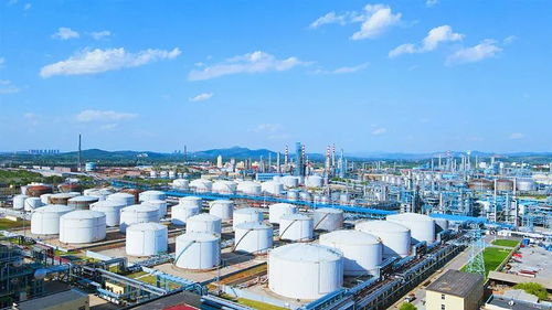 石油化工交易 高效透明的市场运作令人极度舒适