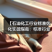 【石油化工行业标准优化实战指南：标准行业规范差异化的三大突破点】（图1）