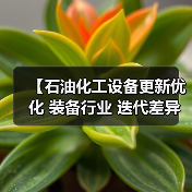【石油化工设备更新优化 装备行业 迭代差异化：2026年最全实战指南】（图4）