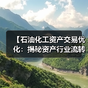 【石油化工资产交易优化：揭秘资产行业流转差异化的制胜密码】（图2）