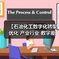 【石油化工数字化转型优化 产业行业 数字差异化】（图4）