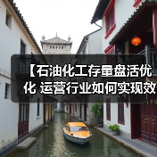 【石油化工存量盘活优化 运营行业如何实现效率差异化突破？】（图4）
