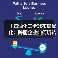 【石油化工全球布局优化：跨国企业如何玩转全球差异化】（图2）