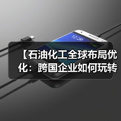 【石油化工全球布局优化：跨国企业如何玩转全球差异化】（图3）