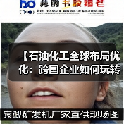 【石油化工全球布局优化：跨国企业如何玩转全球差异化】（图1）