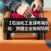 【石油化工全球布局优化：跨国企业如何玩转全球差异化】（图4）