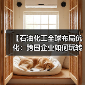 【石油化工全球布局优化：跨国企业如何玩转全球差异化】（图1）