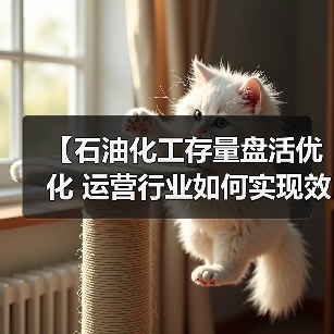 【石油化工存量盘活优化 运营行业如何实现效率差异化突破？】（图4）