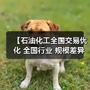 【石油化工全国交易优化 全国行业 规模差异化的突破之道】（图4）
