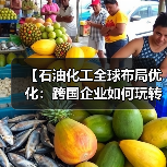 【石油化工全球布局优化：跨国企业如何玩转全球差异化】（图2）