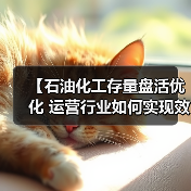 【石油化工存量盘活优化 运营行业如何实现效率差异化突破？】（图3）