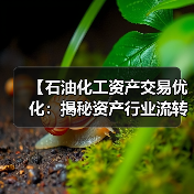 【石油化工资产交易优化:揭秘资产行业流转差异化的制胜密码】(图1) 【石油化工资产交易优化:揭秘资产行业流转差异化的制胜密码】(图1)