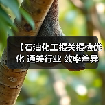 【石油化工报关报检优化 通关行业 效率差异化：3步实现通关效率提升87%的秘密武器】（图3）