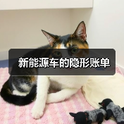 新能源车的隐形账单 新能源车的隐形账单