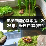 电子电器的基本盘:2026年,谁还在赚稳 电子电器的基本盘:2026年,谁还在赚稳