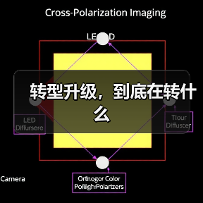 转型升级,到底在转什么(图2) 转型升级,到底在转什么(图2)
