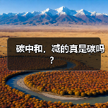 碳中和,减的真是碳吗?(图4) 碳中和,减的真是碳吗?(图4)