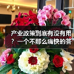 产业政策到底有没有用?一个不那么痛快的答案(图4) 产业政策到底有没有用?一个不那么痛快的答案(图4)