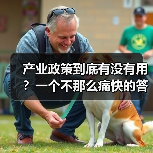 产业政策到底有没有用?一个不那么痛快的答案(图2) 产业政策到底有没有用?一个不那么痛快的答案(图2)