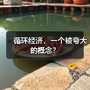 循环经济，一个被夸大的概念？（图4）