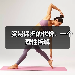 贸易保护的代价:一个理性拆解(图4) 贸易保护的代价:一个理性拆解(图4)