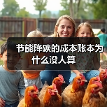 节能降碳的成本账本为什么没人算（图3）