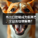 当出口管制成为新常态,企业该往哪里看?(图4) 当出口管制成为新常态,企业该往哪里看?(图4)