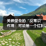 关税壁垒的“反常识”作用:可能是一个红利窗口(图2) 关税壁垒的“反常识”作用:可能是一个红利窗口(图2)