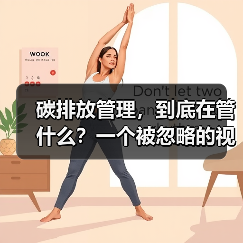 碳排放管理,到底在管什么?一个被忽略的视角(图1) 碳排放管理,到底在管什么?一个被忽略的视角(图1)