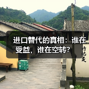 进口替代的真相:谁在受益,谁在空转?(图4) 进口替代的真相:谁在受益,谁在空转?(图4)