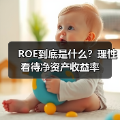 ROE到底是什么?理性看待净资产收益率(图3) ROE到底是什么?理性看待净资产收益率(图3)