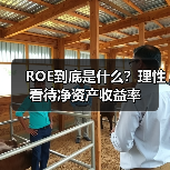 ROE到底是什么?理性看待净资产收益率(图2) ROE到底是什么?理性看待净资产收益率(图2)