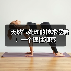天然气处理的技术逻辑:一个理性观察 天然气处理的技术逻辑:一个理性观察