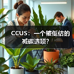 CCUS:一个被低估的减碳选项?(图4) CCUS:一个被低估的减碳选项?(图4)