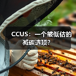 CCUS:一个被低估的减碳选项? CCUS:一个被低估的减碳选项?