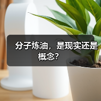分子炼油，是现实还是概念？（图2）