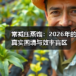 常减压蒸馏:2026年的真实困境与效率盲区(图2) 常减压蒸馏:2026年的真实困境与效率盲区(图2)