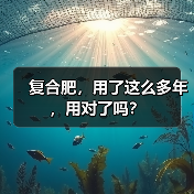复合肥，用了这么多年，用对了吗？（图4）