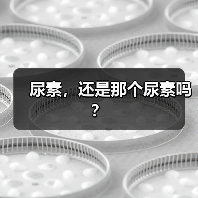 尿素,还是那个尿素吗? 尿素,还是那个尿素吗?
