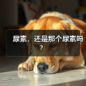 尿素,还是那个尿素吗?(图3) 尿素,还是那个尿素吗?(图3)