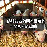 磷肥行业的两个困惑和一个可能的出路(图2) 磷肥行业的两个困惑和一个可能的出路(图2)