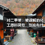 对二甲苯:被误解的化工原料背后,到底有什么?(图2) 对二甲苯:被误解的化工原料背后,到底有什么?(图2)
