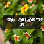 渣油:被低估的炼厂暗流(图2) 渣油:被低估的炼厂暗流(图2)