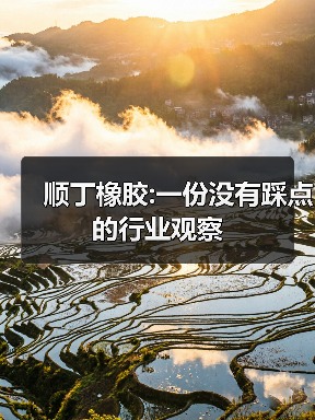 顺丁橡胶:一份没有踩点的行业观察(图4) 顺丁橡胶:一份没有踩点的行业观察(图4)