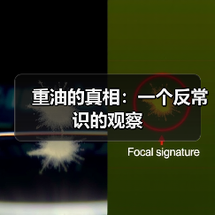 重油的真相:一个反常识的观察(图2) 重油的真相:一个反常识的观察(图2)