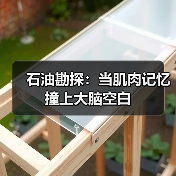 石油勘探:当肌肉记忆撞上大脑空白(图4) 石油勘探:当肌肉记忆撞上大脑空白(图4)